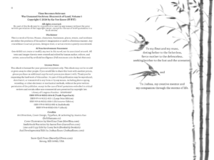 Time Becomes Relevant (Shazzwick of Land, Vol. 1) - Image 9