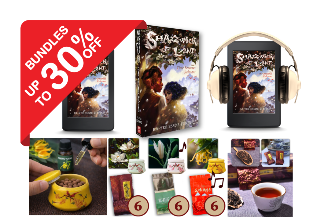 Bundles: Time Becomes Relevant